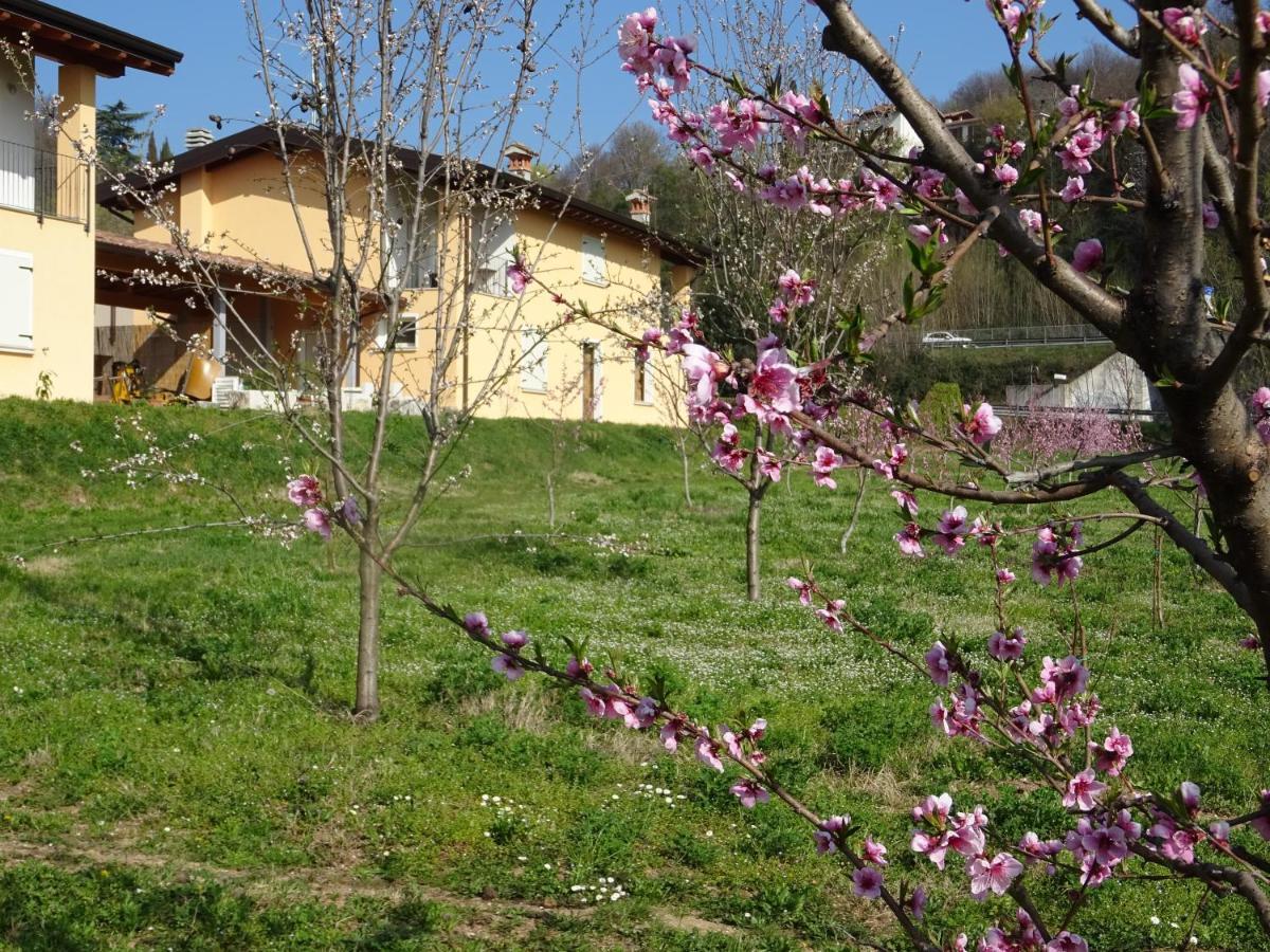 Cascina Legnago Trilocale A 6 Chilometri Da Salo' Villanuova sul clisi Exterior foto